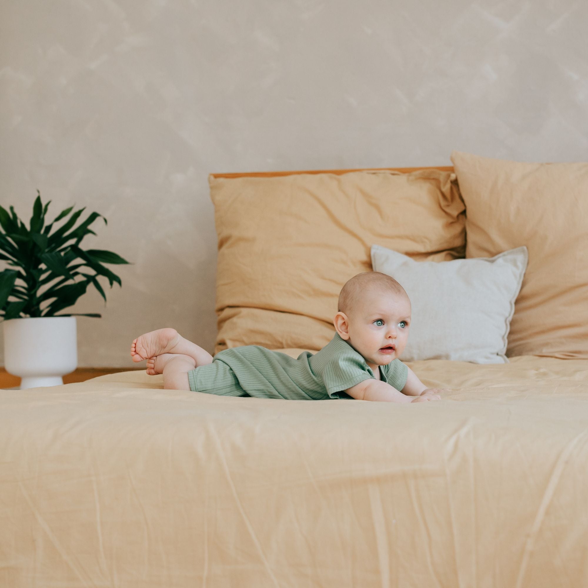 Slaappakje kort | Essential Groen